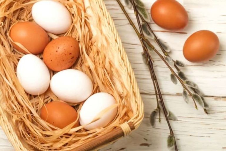 Benefici di consumare Un uovo al giorno a colazione